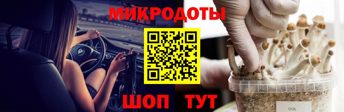 Галлюциногенные грибы Psilocybine cubensis  Вход с VPN  Мирный 